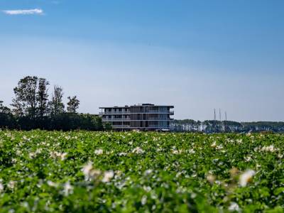 Lamsoor 31 | Veerse Wende