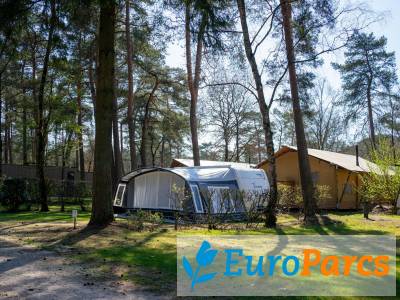 Kampeerplaats Comfort