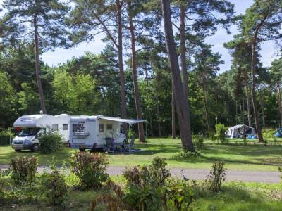 Kampeerplaats Comfort