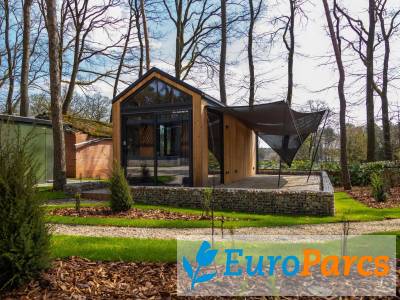Tiny House 2