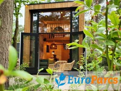 Tiny House 2