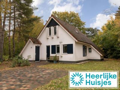 Sfeervolle 4-persoons vakantiehuis op een vakantiepark in Drenthe