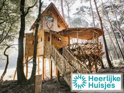 Boomhut voor 5 personen met sauna op vakantiepark met klimbos en midgetgolf