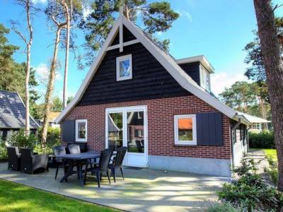 Villa Veluwe 6