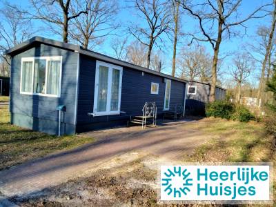 4 persoons chalet op vakantiepark Drentheland in Zorgvlied