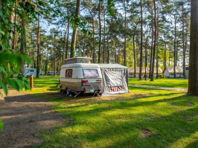 Kampeerplaats Comfort