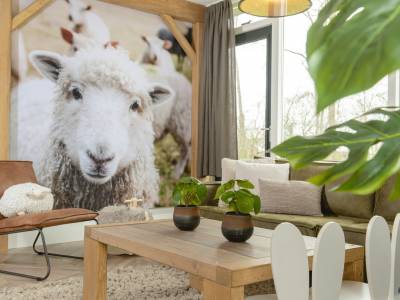 Baby- & kinderbungalow met warme bubbeltub I 5 pers.
