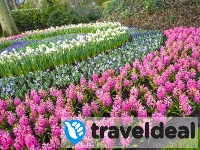 TULPEN-DEAL! 🌷 Stijlvol hotel bij Amsterdam en nabij de kust incl. ontbijt