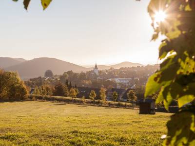 Am Südhang 27 Winterberg | Knusse vakantiewoning nabij centrum & skigebied