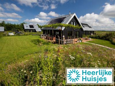 Modern 8-persoons vakantiehuis op een familiepark met zwemvijver in Sint-Nicolaasga