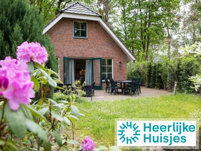 Comfortabel 6-persoons vakantiehuis met ruim terras op een vakantiepark in Drenthe