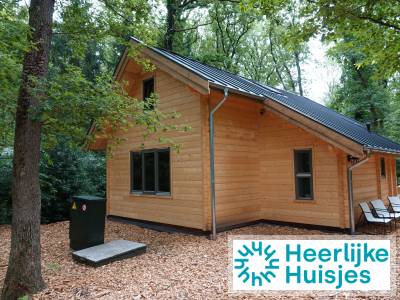 Comfortabel 6-persoons boshuis met infraroodsauna en ruime tuin in Norg