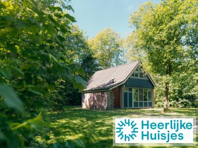Mooi 4 persoons vakantiehuis op de Sallandshoeve in Salland