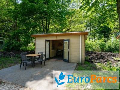 Forest Lodge 4