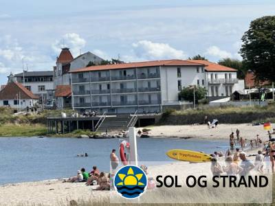 Sandvig