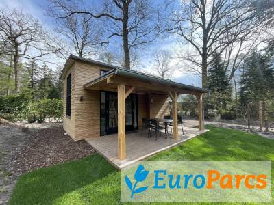Tiny House Tiny house 2+2 - EuroParcs Kaatsheuvel