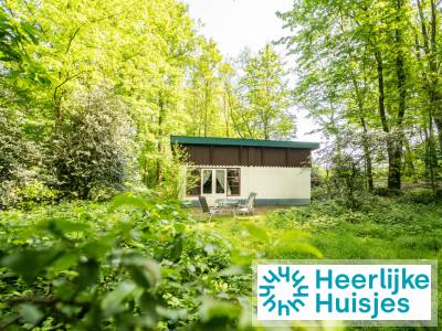 Bosrijk gelegen 5 persoons vakantiehuis in het Drakendorp Beesel, Limburg