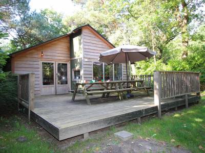 Glamping family lodge 10