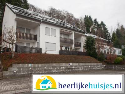 Mooi 4 persoons vakantieappartement nabij Winterberg