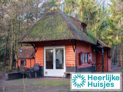 Karakteristiek 5-persoons vakantiehuis met sauna, bosrijk gelegen nabij Norg in Drenthe