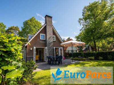 De Wiersse 6
