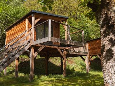 Tree House