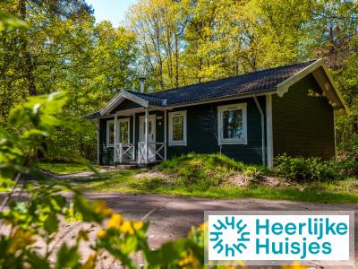 Een Scandinavische beleving in Drenthe met dit 6-persoons chalet