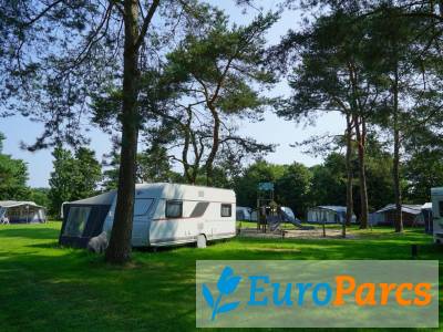 Kampeerplaats Comfort