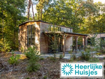 Tiny House voor 4 personen op de Wiltzangh in Ruinen