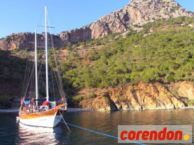 Blue Cruise & Terrace Elite