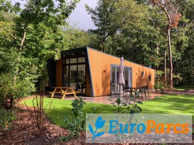 Chalet Just Nature 4 - EuroParcs De Wiltzangh