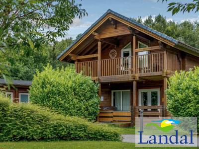 4-persoons chalet - Birch Spa (Pet)