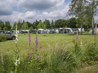 Kampeerplaats Comfort 50+