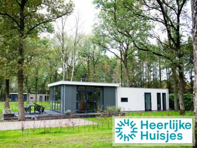 6 persoons vakantiehuis op vakantiepark Drentheland in Zorgvlied