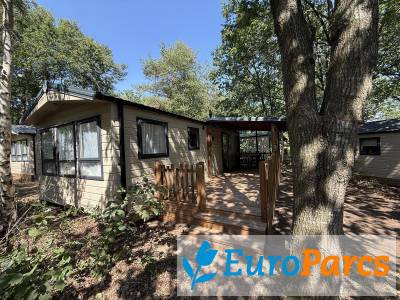 Mobilehome Light 4