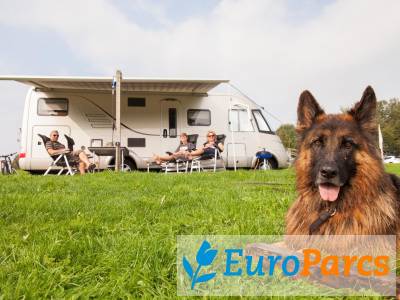 Kampeerplaats Kampeerplaats Comfort - EuroParcs Marina Strandbad