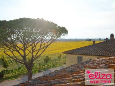 Le Terre dei Cavalieri Appartementen