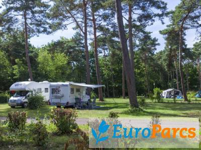 Kampeerplaats Comfort
