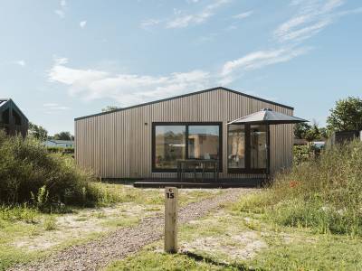Cabin C15 Backer