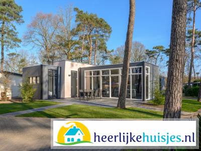 Mooi 6 persoons vakantiehuis nabij Voorthuizen op de Veluwe