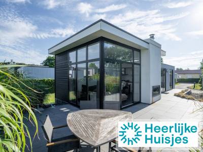 4 persoons vakantiewoning met hoge raampartijen op een vakantiepark in Breskens