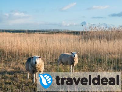 3=2 HERFSTDEAL! 🍂 Verblijf in de natuur van Noord-Brabant incl. ontbijt