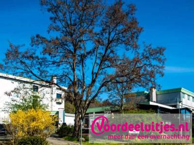 4-daags halfpensionarrangement - Parkhotel Hitzacker