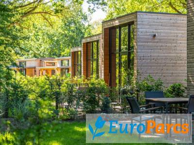 Tiny House 2