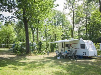 Comfortplaats Oost
