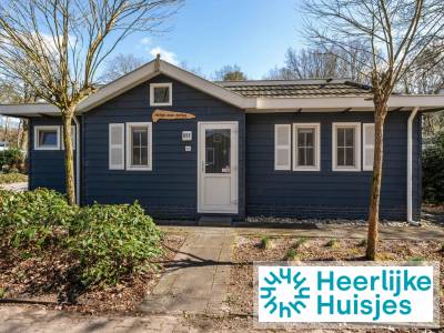Vrijstaand 4-persoons chalet op een vakantiepark in Drenthe