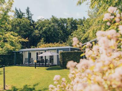 Bosrandchalet | 6 personen