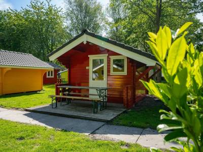 Cabin 4