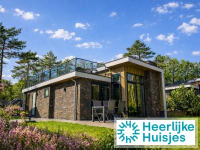 Prachtig 6 persoons vakantiehuis met dakterras nabij Hoenderloo