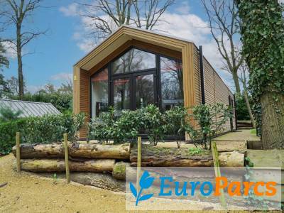 Forest Lodge 4